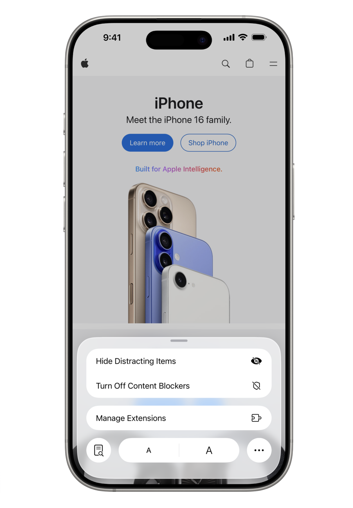 Safari site settings showing buttons to increase and decrease the font size.